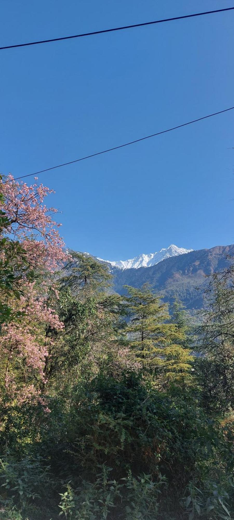 Hotel Mountain Heaven Mcleodganj Dharamshala Exterior foto